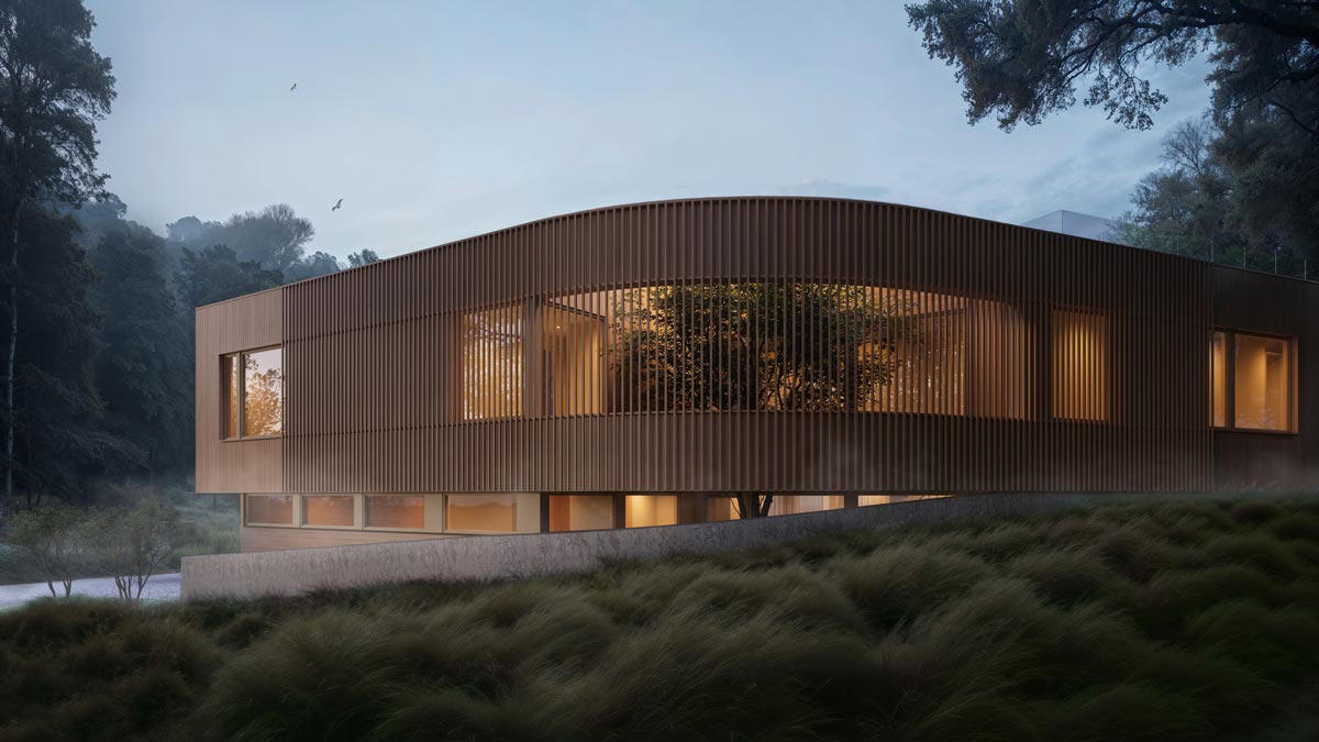 Planted Courtyard in a modern montauk home by The Up Studio.