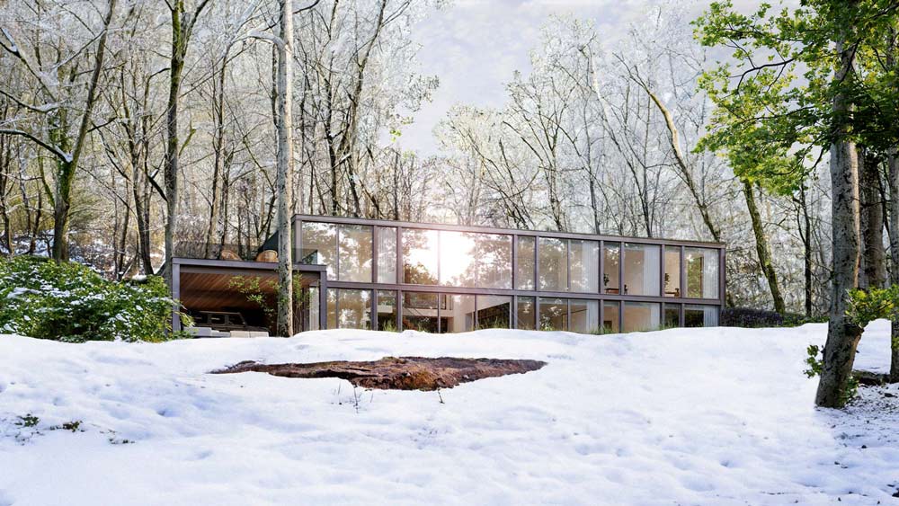 Modern Home for a Hermit sunken into a wooded hillside property