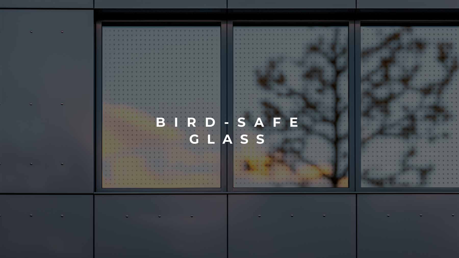 Bird-safe glass in modern home design by The Up Studio Architecture & Interiors