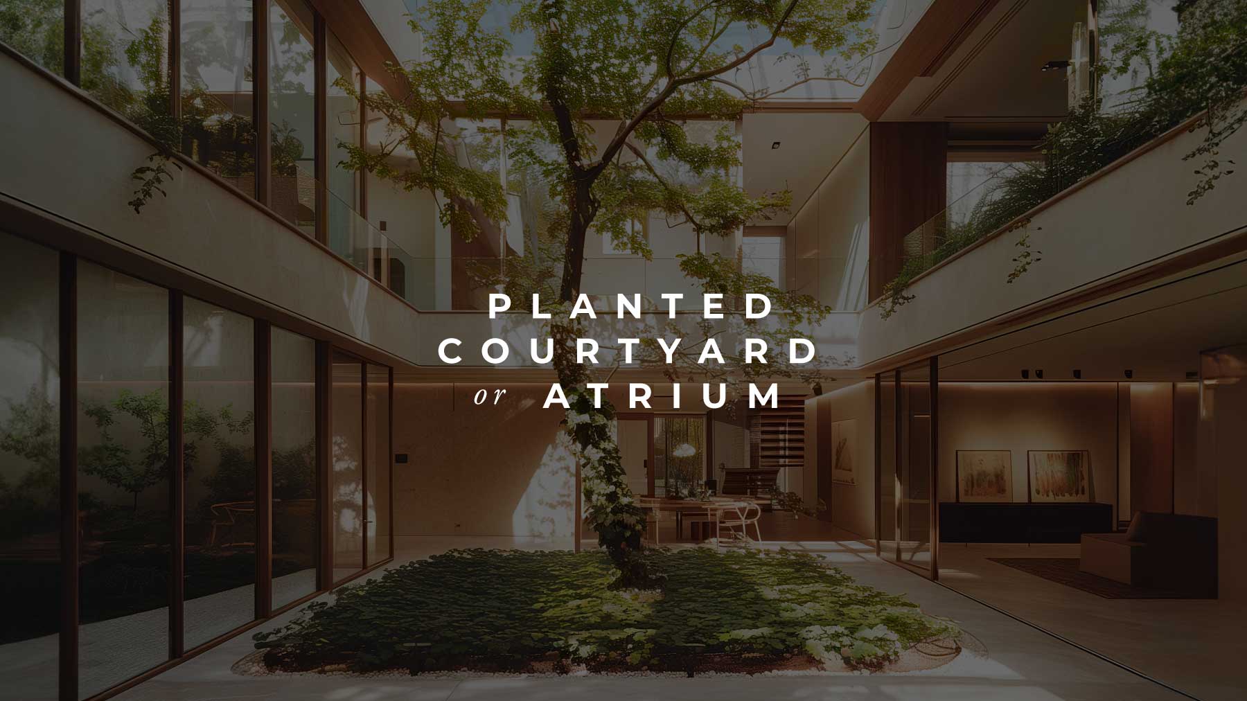 Planted Courtyard or Atrium in modern home design by The Up Studio Architecture & Interiors