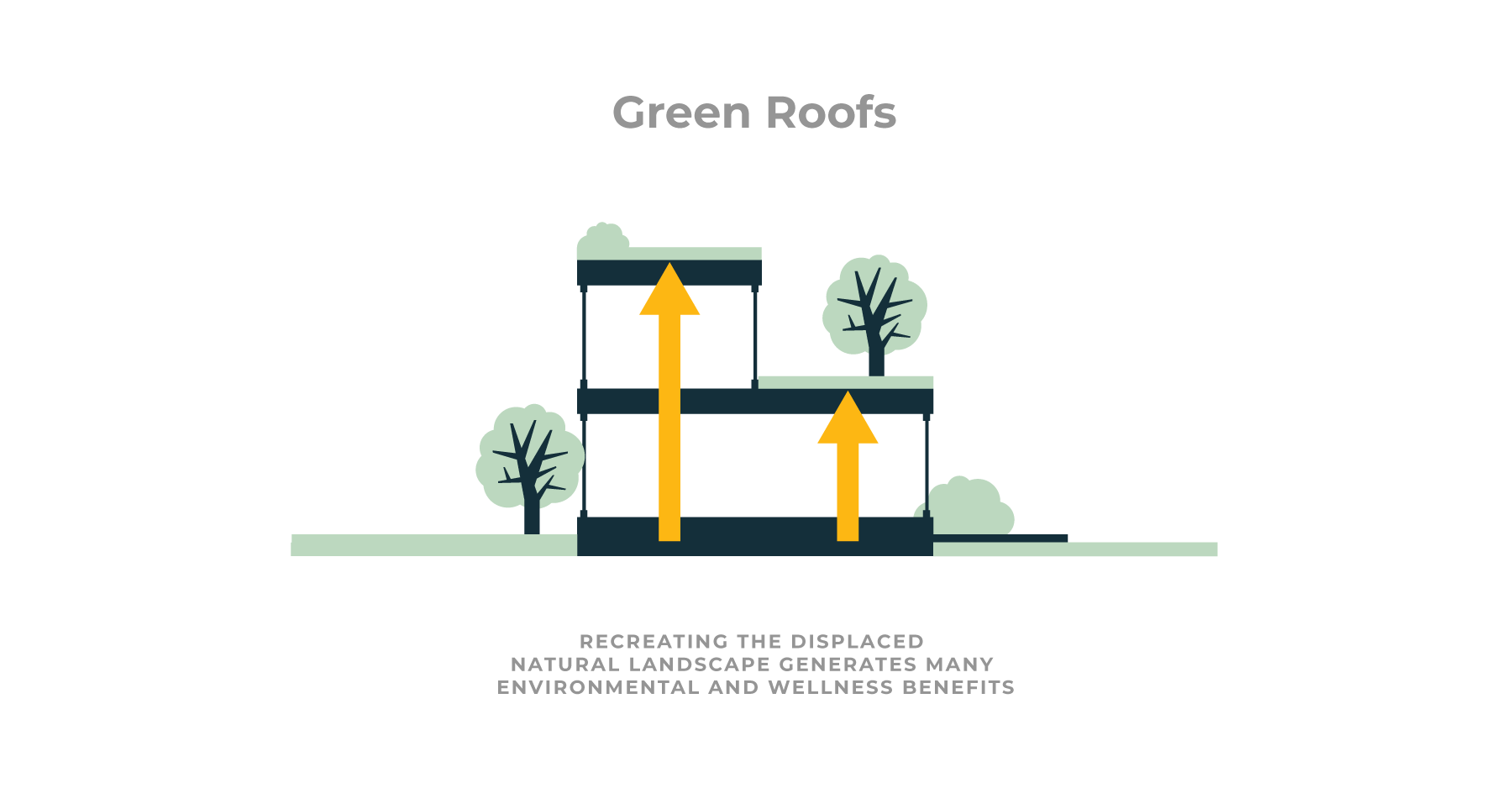 costs of green roofs
