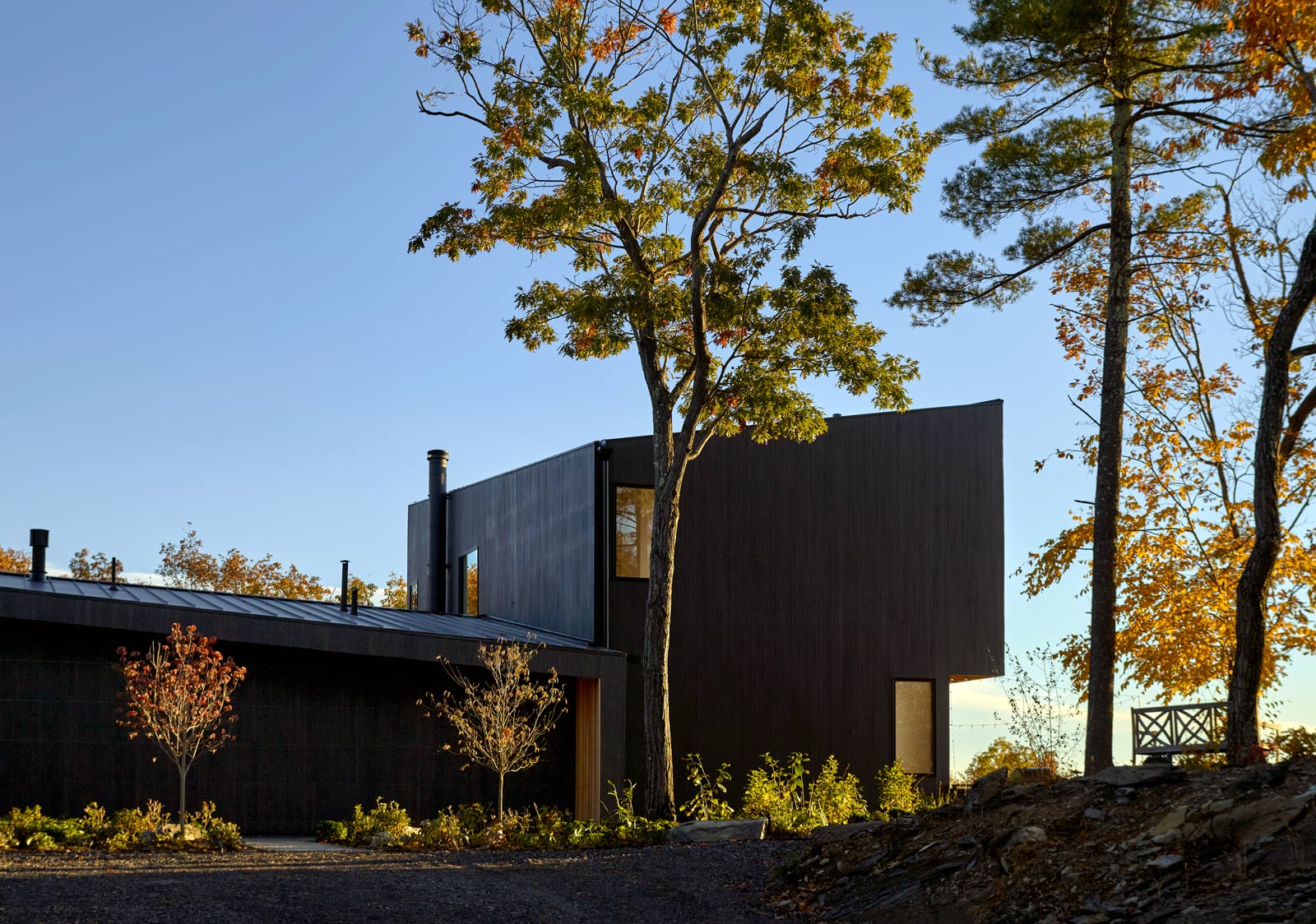 black geometric modern wood home in the woods